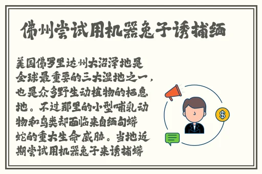 37大的人文艺术大陆仙踪林介绍
